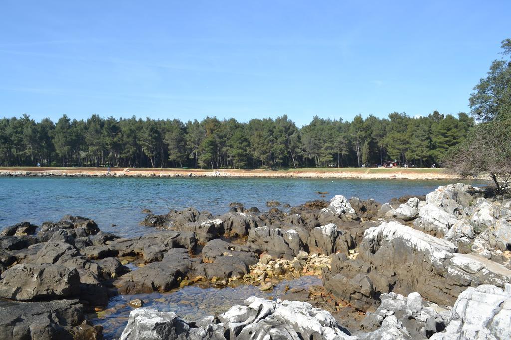 Apartment Iva Rovinj Bilik gambar